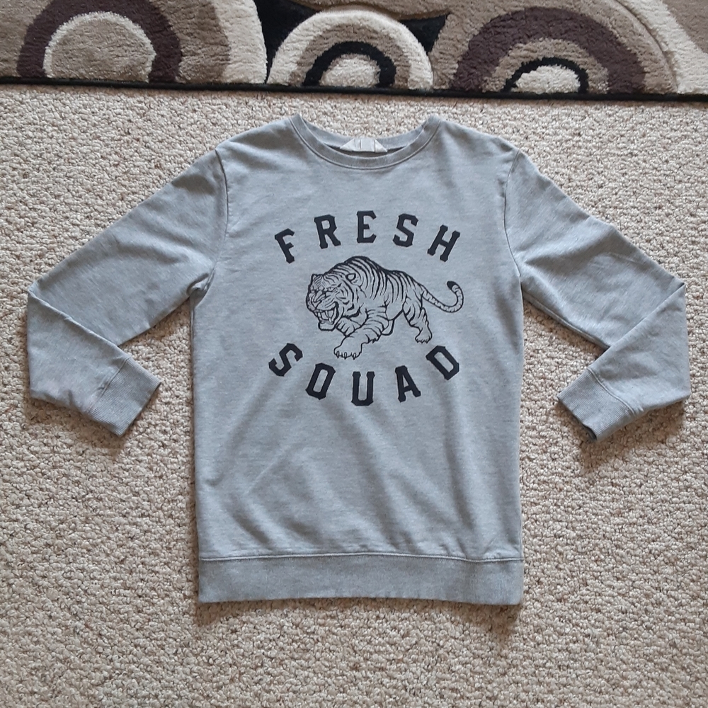 Boys H&M Light Sweater Size 10/12